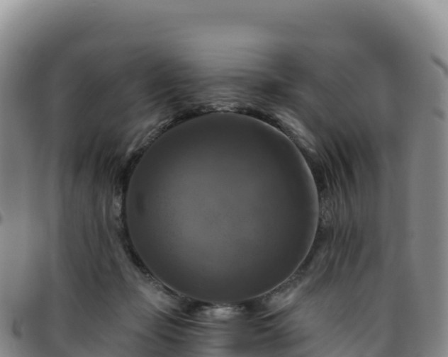 X0000096470365200801311539