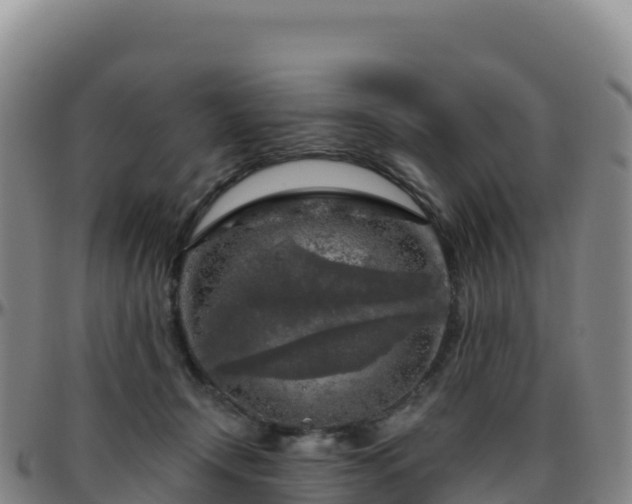 X0000096470366200801311539