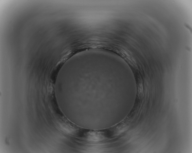 X0000096470367200801311539