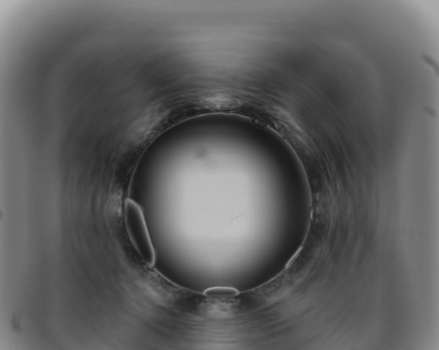 X0000096470368200801311539