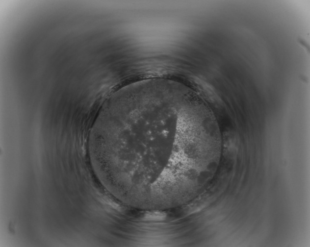X0000096470369200801311539