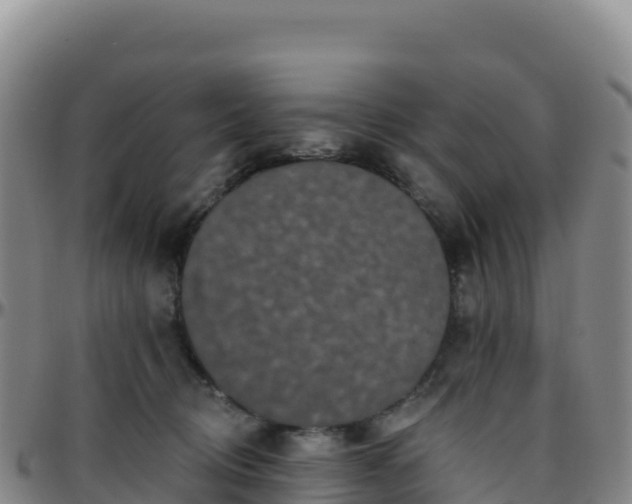 X0000096470370200801311539