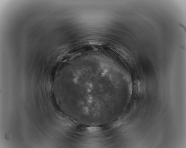 X0000096470371200801311539