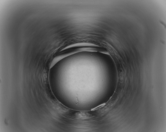 X0000096470372200801311539
