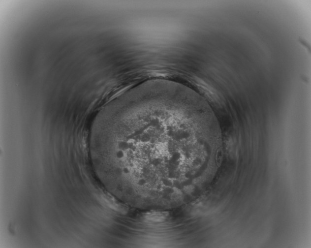 X0000096470373200801311539