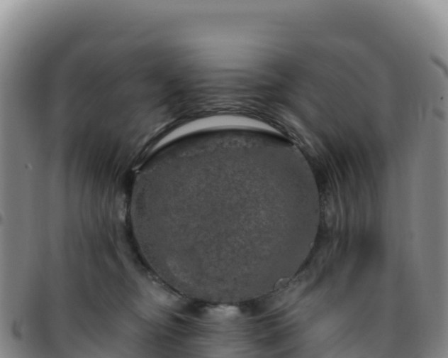 X0000096470374200801311539
