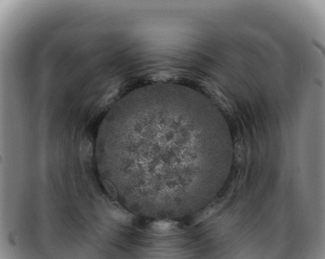 X0000096470375200801311539