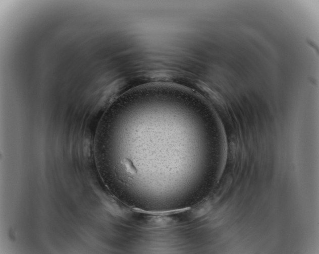 X0000096470379200801311539