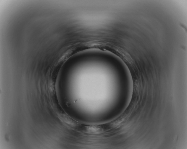 X0000096470380200801311539