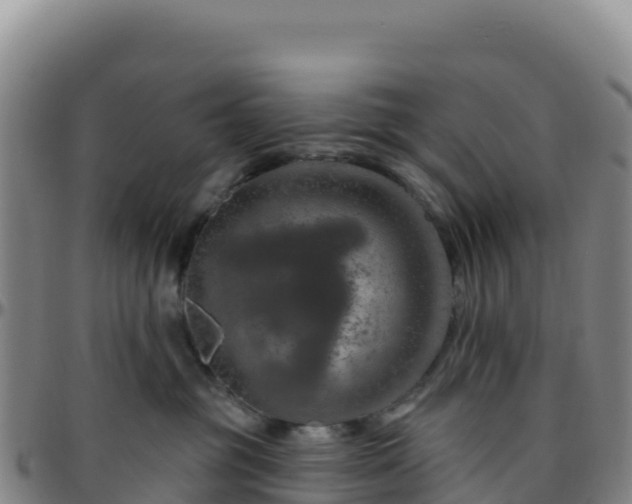 X0000096470381200801311539