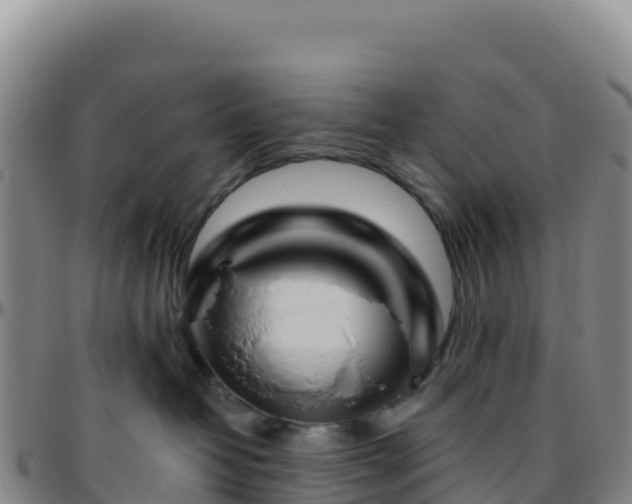 X0000096470382200801311539