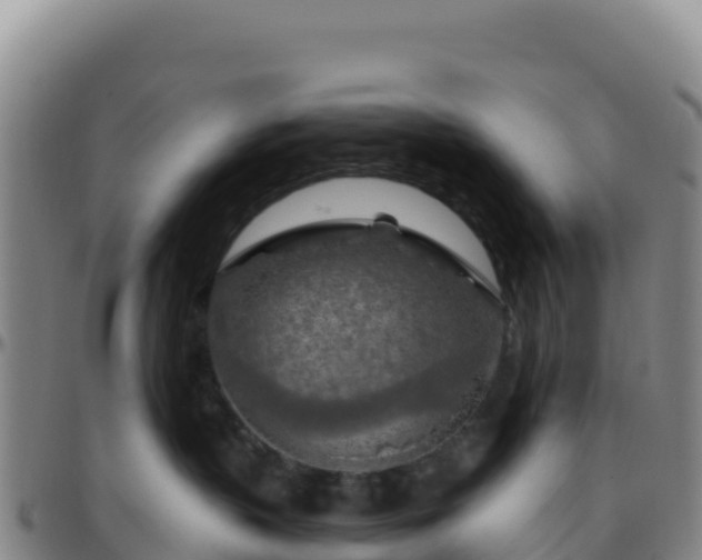 X0000096470383200801311539