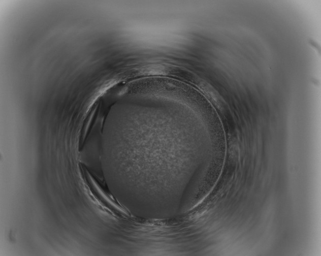 X0000096470386200801311539