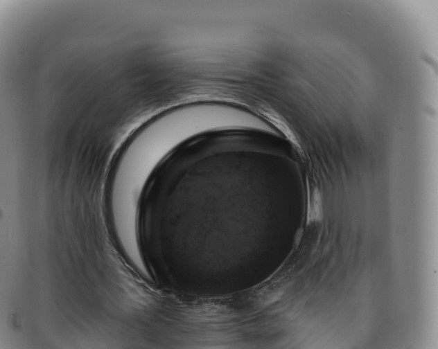 X0000096470387200801311539