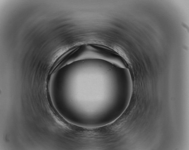 X0000096470389200801311539