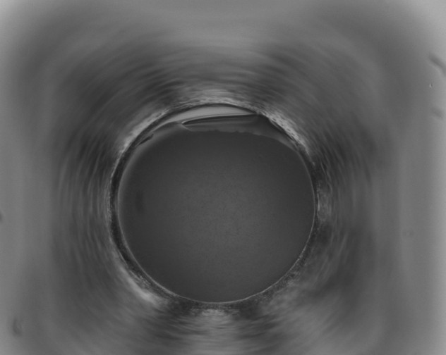 X0000096470390200801311539