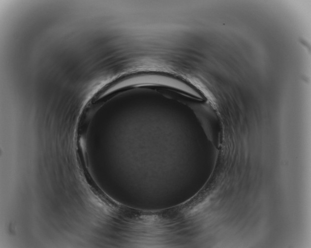 X0000096470391200801311539