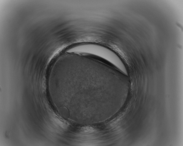X0000096470392200801311539