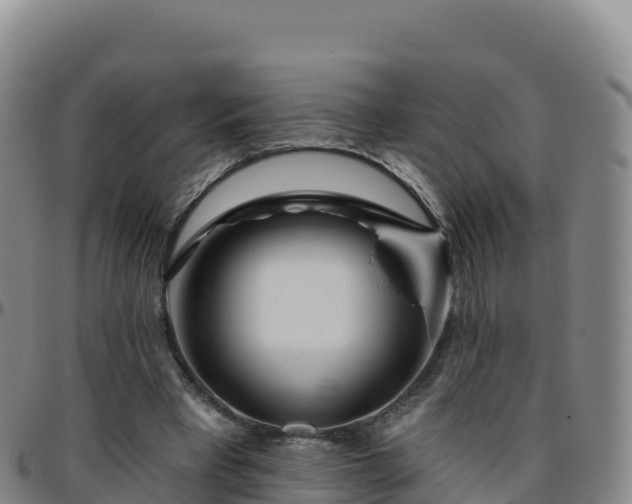 X0000096470393200801311539