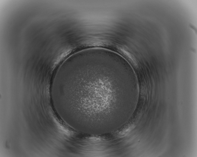 X0000096470394200801311539