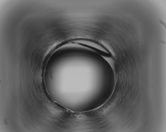 X0000096470395200801311539