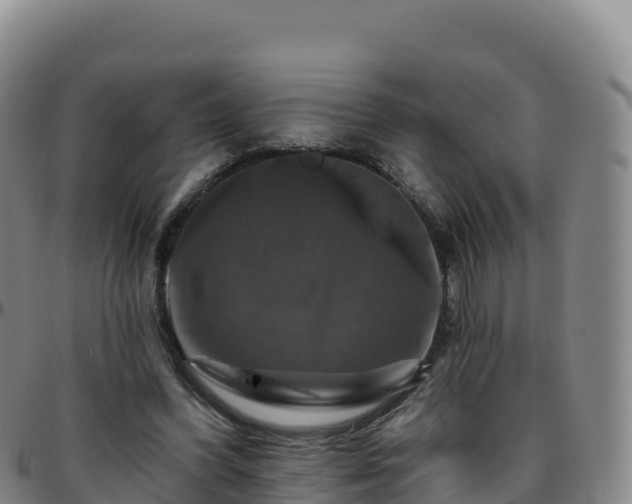 X0000096470396200801311539