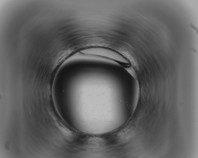 X0000096470397200801311539