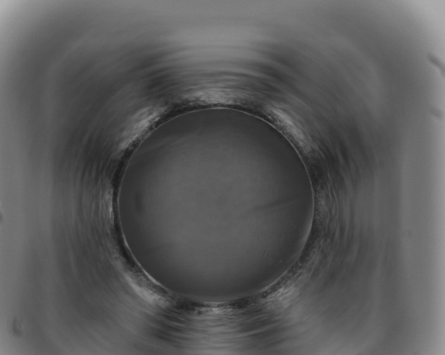 X0000096470398200801311539
