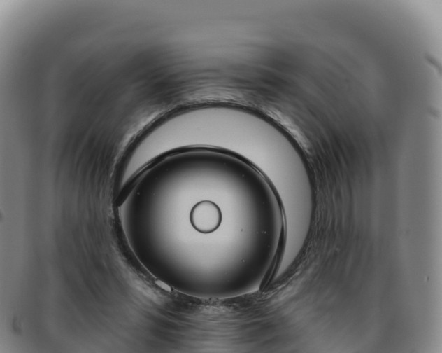X0000096470399200801311538