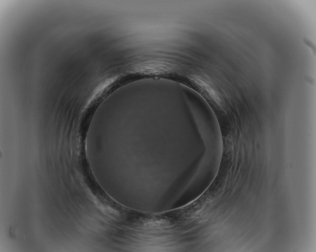 X0000096470400200801311538
