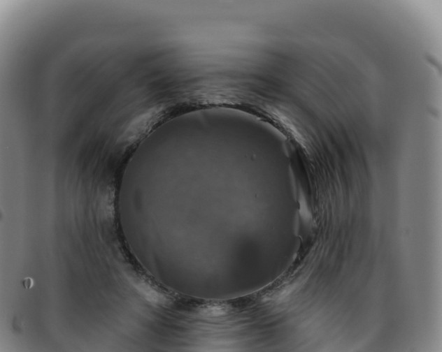 X0000096470402200801311538
