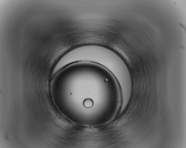X0000096470403200801311538