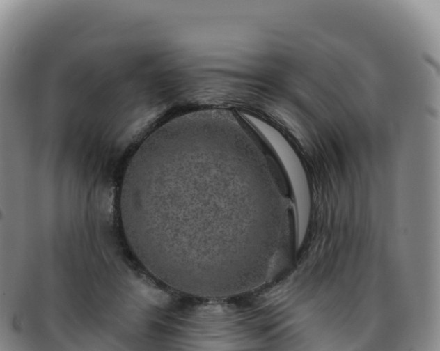 X0000096470404200801311538