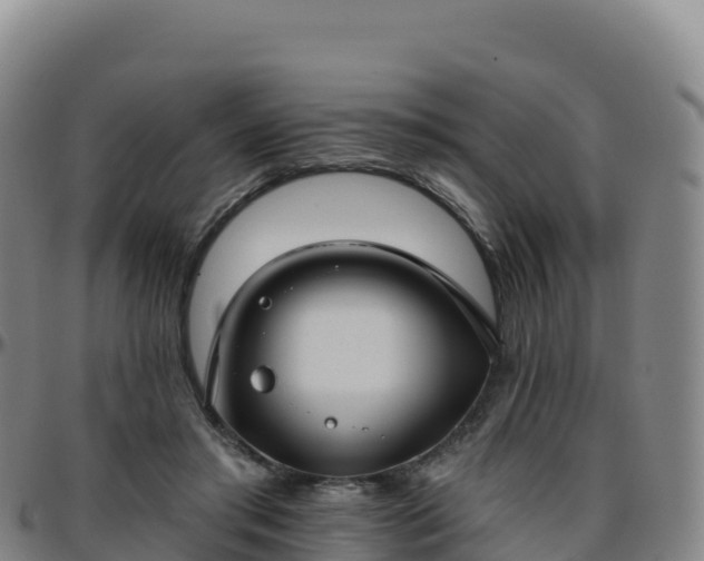 X0000096470405200801311538