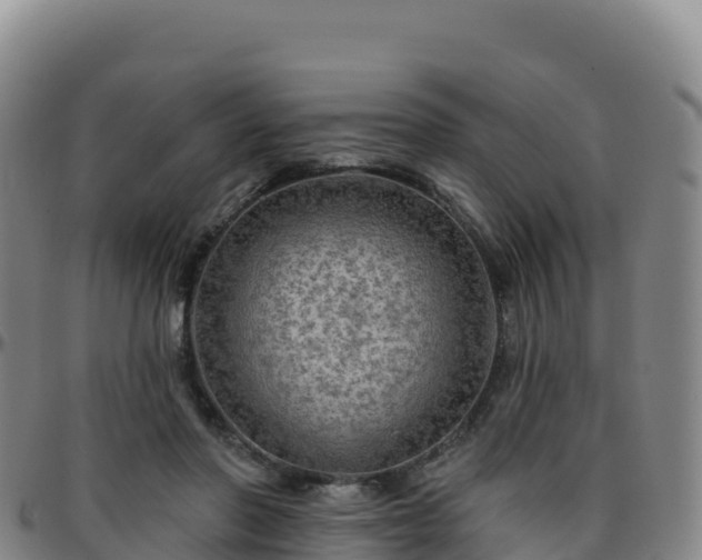 X0000096470406200801311538