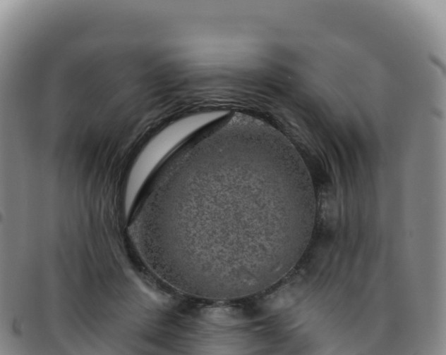 X0000096470408200801311538