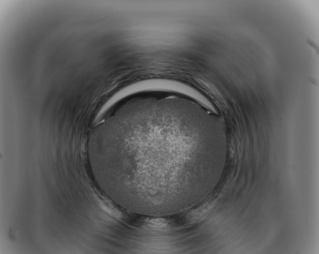 X0000096470409200801311538