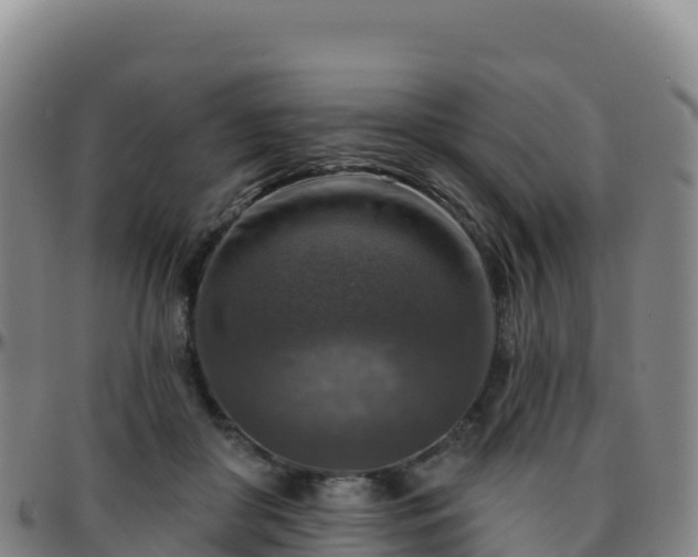 X0000096470410200801311538