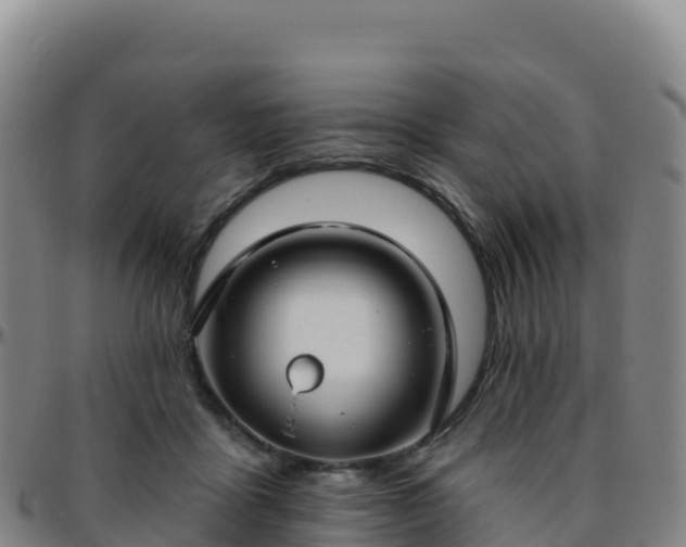 X0000096470411200801311538