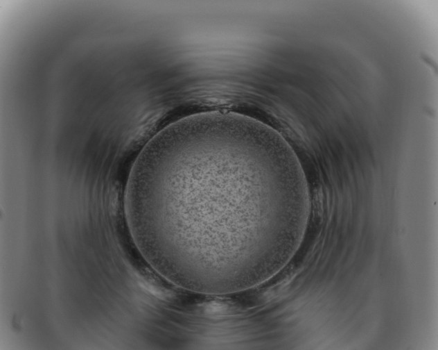 X0000096470412200801311538