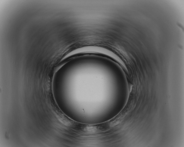 X0000096470413200801311538