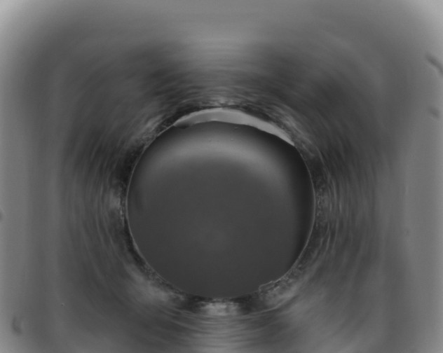 X0000096470415200801311538