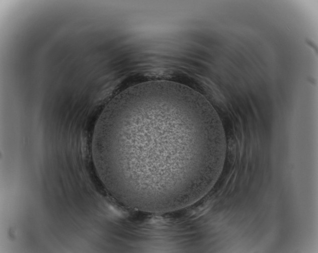 X0000096470416200801311538