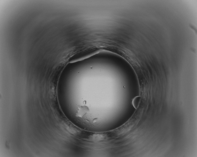 X0000096470418200801311538