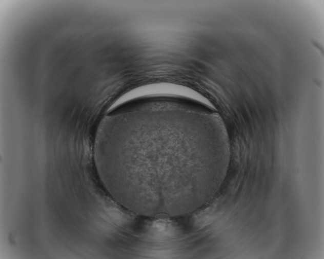 X0000096470420200801311538