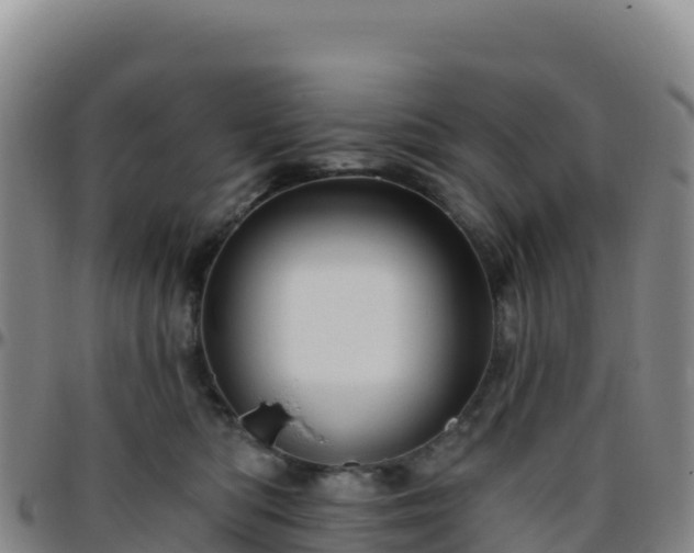 X0000096470422200801311538