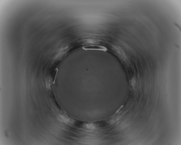 X0000096470423200801311538