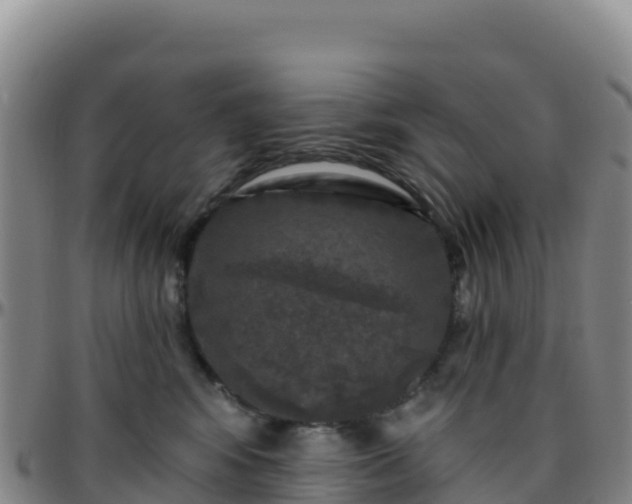X0000096470424200801311538