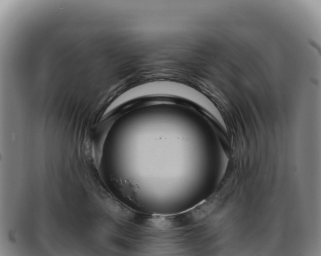 X0000096470425200801311538