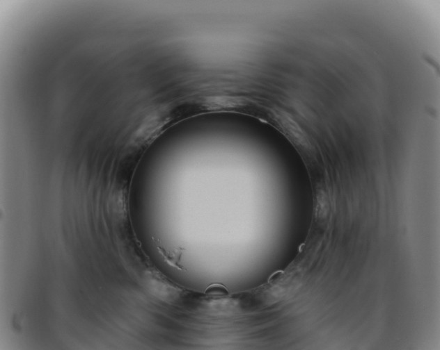 X0000096470426200801311538